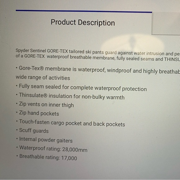 Spyder Men’s insulated/Gore-Tex jacket, pant & Gloves full match set - Picture 9 of 11